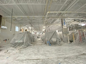 Plant Painting -Equipment Protection