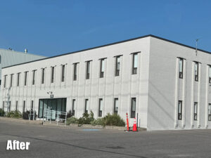 Commercial Building Staining