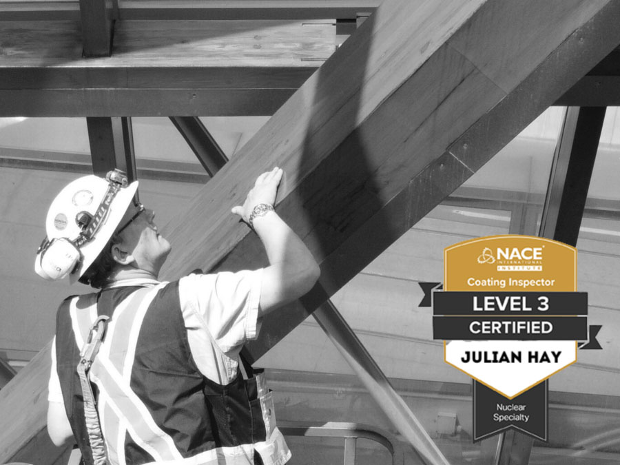 Nace Level III Inspector