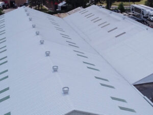 Metal Roof Painting